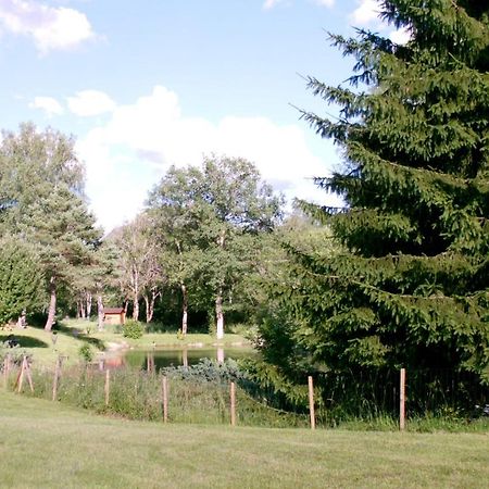 Chalet De Charme - Le Martinet Ney Exterior photo