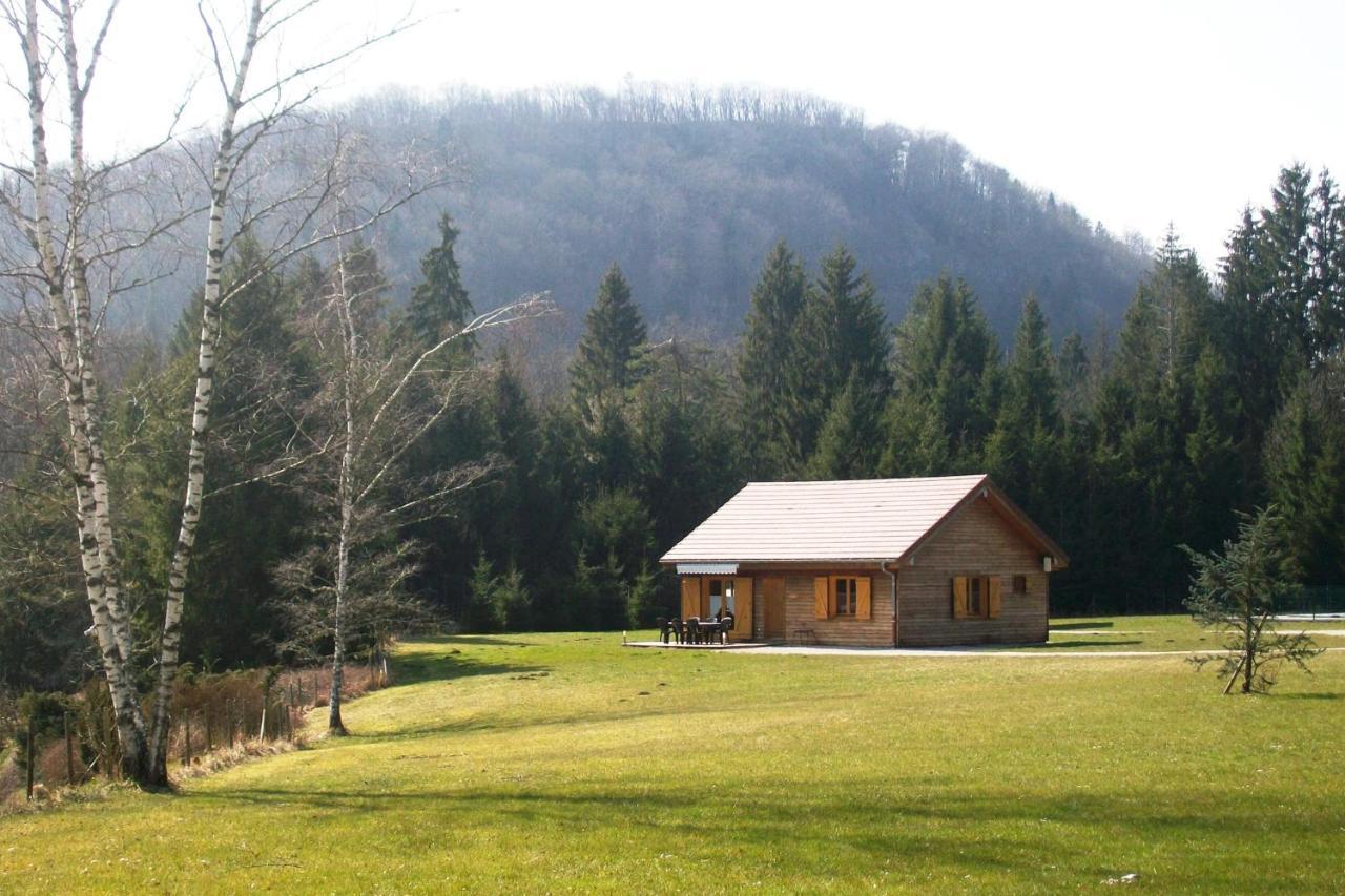 Chalet De Charme - Le Martinet Ney Exterior photo